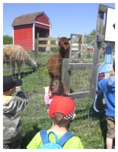 Some of our students on a field trip to Butterfield Acres in Calgary Alberta.